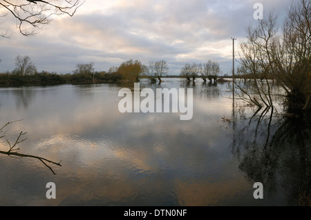 Flooded North Meadow Nature Reserve at Cricklade, Wiltshire; Home of the rare Snakes-head Fritillary Stock Photo