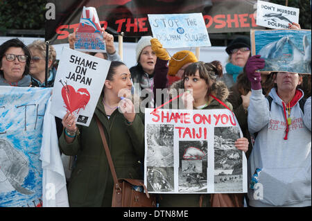 Piccadilly, London, UK. 21st Feb 2014.  Protesters stage a demonstration outside the Embassy of Japan in London, against the slaughter and capture of dolphins and small whales in Japan. The dolphin drive hunt in Taiji, takes place every year from September to April. Credit:  Lee Thomas/Alamy Live News Stock Photo