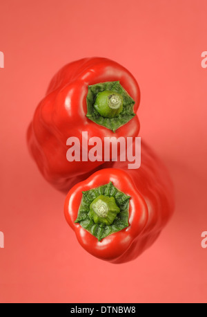 Two red peppers on red background Stock Photo