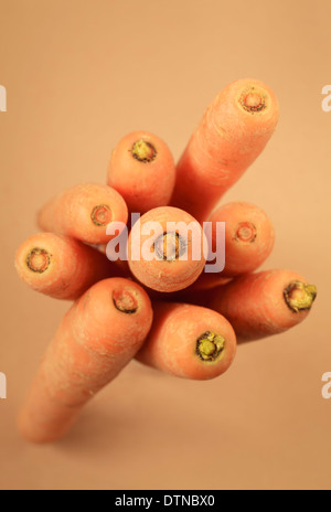 Bunch of carrots top view Stock Photo