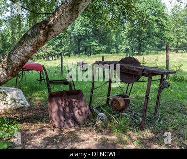 Abandoned farming equipment, a rusty saw, old wheelbarrow in farm field -Spreewald Biosphere reserve, Brandenburg, Germany Stock Photo