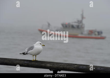 New York, USA. 21st Feb, 2014. A bird is seen in fog in New York City, the United States, Feb. 21, 2014. A dense fog covered New York City through Friday afternoon, causing some departure delays at airports in and near the city. © Wang Lei/Xinhua/Alamy Live News Stock Photo