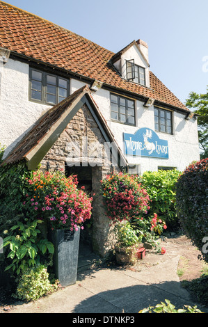 View of the front of the pretty and popular White Hart pub in the attractive village of Littleton-upon-Severn, in South Gloucestershire Stock Photo