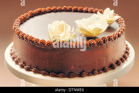 All chocolate birthday cake, on brown background, decorated with yellow flowers on top. Stock Photo