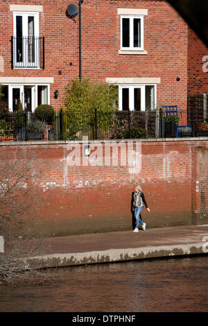 Shrewsbury, Shropshire, UK. Saturday 22nd February 2014. A girl goes for a walk along the muddy footpath next to the River Severn. This is the first time that the footpath has been accessible since it was flooded. The highest water level during the flooding is indicated by the top of the damp patch, just above her head along the wall. Despite the severe downpours in February, Shrewsbury's excellent defences ensure that many homes and businesses are not flooded. Credit:  Richard Franklin/Alamy Live News Stock Photo