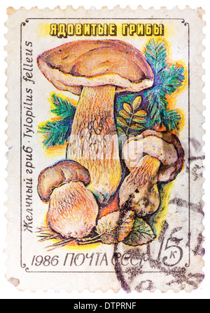 USSR - CIRCA 1986: A stamp printed in USSR, Tylopilus felleus, formerly Boletus felleus mushroom in wild, circa 1986 Stock Photo