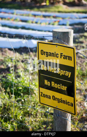 Organic farm near Miami which employs formerly homeless persons. Stock Photo