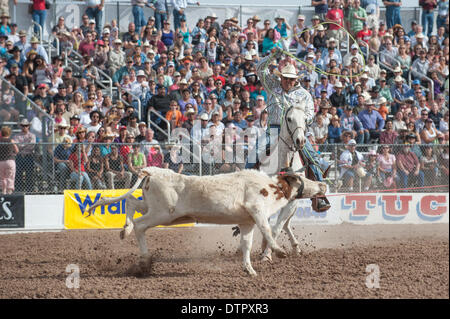 Tucson, Arizona, USA. 22nd Feb, 2014. PRESTON WILLIAMS ropes his steer during the team roping event at the Fiesta de los Vaqueros in Tucson, Ariz. Credit:  Will Seberger/ZUMAPRESS.com/Alamy Live News Stock Photo