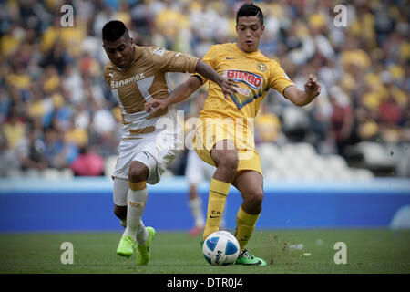 Mexico City, Mexico. 22nd Feb, 2014. Raul Jimenez (R) of America vies for the ball with Daniel Luduena of Pumas' UNAM during their match of the MX League Closing Tournament at Azteca Stadium in Mexico City, capital of Mexico, on Feb. 22, 2014. © Alejandro Ayala/Xinhua/Alamy Live News Stock Photo