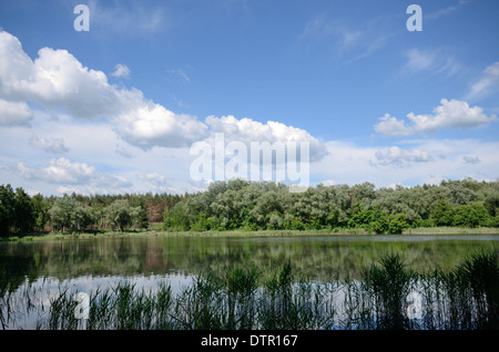 Lake shore under blue cloudy sky Stock Photo - Alamy