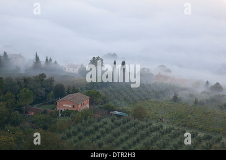 Morning mist on the slopes below Montepulciano, Tuscany, Italy. Mandatory credit Jo Whitworth Stock Photo