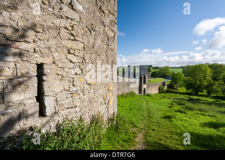 Kells Priory county Kilkenny Ireland Stock Photo