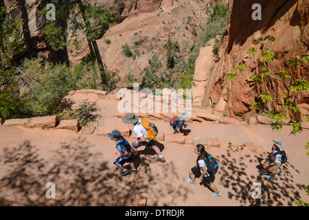 Hikers At Angels Landing Trail, Walters Wiggles Switchbacks Near Scout ...