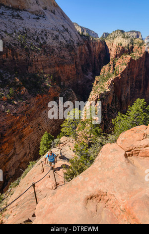 Hiker on the trail to Angels Landing, Zion National Park, Utah, USA Stock Photo