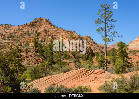 Zion Plateau, Eastern section of Zion National Park, Utah, USA Stock Photo