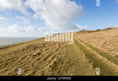 Tennyson Down, chalk downland above the cliffs on the shore of The Needles Country Park, Isle of Wight, UK in good weather Stock Photo