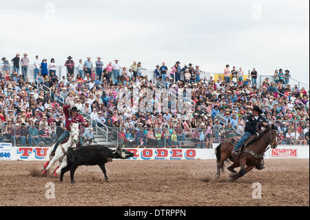 Tucson, Arizona, USA. 23rd Feb, 2014. PAUL EAVES, of Lonedell, Mo., left, and DUSTIN BIRD, of Cut Bank, Mon., right, took the overall win in team roping at the Fiesta de los Vaqueros in Tucson, Ariz. mains one of the largest in the U.S. and saw record attendance of more than 60,000 people over six performances. mains one of the largest in the U.S. and saw record attendance of more than 60, 00 Credit:  ZUMA Press, Inc./Alamy Live News Stock Photo