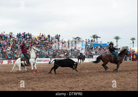 Tucson, Arizona, USA. 23rd Feb, 2014. PAUL EAVES, of Lonedell, Mo., left, and DUSTIN BIRD, of Cut Bank, Mon., right, took the overall win in team roping at the Fiesta de los Vaqueros in Tucson, Ariz. mains one of the largest in the U.S. and saw record attendance of more than 60,000 people over six performances. mains one of the largest in the U.S. and saw record attendance of more than 60, 00 Credit:  ZUMA Press, Inc./Alamy Live News Stock Photo
