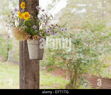 Still life from wild flowers on natural background. Stock Photo