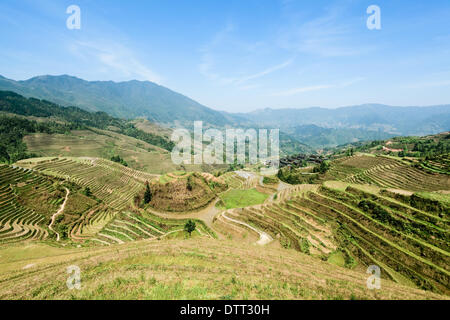 chinese terraced fields landscape Stock Photo