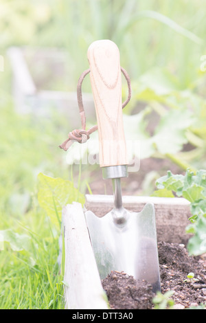 Small garden spade with wooden handle stuck in the soil in vegetable bed Stock Photo