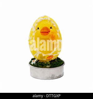 Decorative easter chick on a white background. Stock Photo