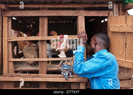 Chickens for sale padlocked in wood and wire grid cage in the market in Karatu village at the Arusha Region of northern Tanzania East Africa Stock Photo