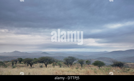 Overcast skies over Zululand bushveld, Kwazulu-Natal, South Africa Stock Photo