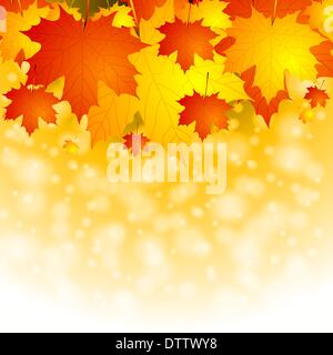 Autumn background Yellow red orange leaves and trees during autumn ...