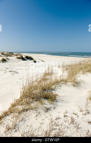 PEA ISLAND NATIONAL WILDLIFE REFUGE CAPE HATTERAS NATIONAL SEASHORE OUTER BANKS NORTH CAROLINA USA Stock Photo