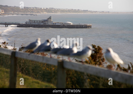 Bournemouth and Boscombe piers in the distance with out of focus gulls in the foreground in February Stock Photo