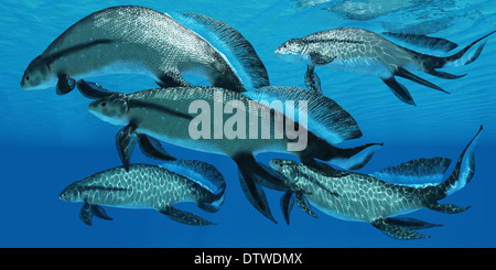 Scaumenacia is an extinct genus of prehistoric lobe-finned fish from the Devonian period. Stock Photo
