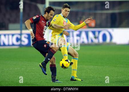 Naples, Italy. 24th Feb, 2014. Federico Fernandez during Italian Serie A match between SSC Napoli and Genoa CFC Football / Soccer at Stadio San Paolo on February 24, 2014 in Naples, Italy. Credit:  Franco Romano/Alamy Live News Stock Photo