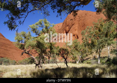 uluru-kata-tjuta-nationalpark,australia Stock Photo