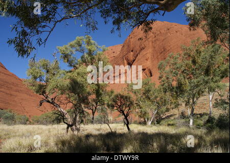 uluru-kata-tjuta-nationalpark,australia Stock Photo