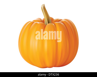 realistic pumpkin isolated on white background close up, halloween ...