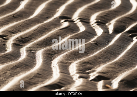 Ripples in the sandy beach at Titchwell, Norfolk. Stock Photo