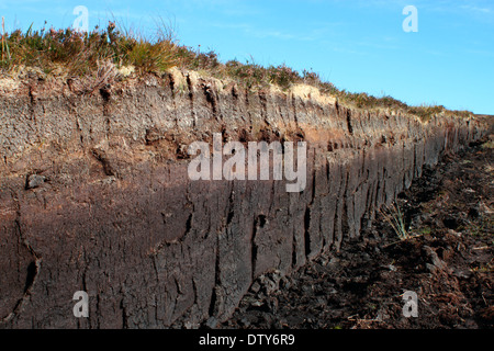 Peat cutting Stock Photo