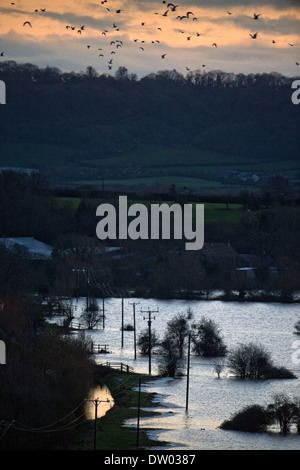 Flooding on the Somerset Levels - farmland viewed from Burrow Mump Feb 2014 Stock Photo