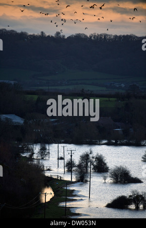 Flooding on the Somerset Levels - farmland viewed from Burrow Mump Feb 2014 Stock Photo