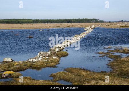 Springtime flood at a Swedish landscape Stock Photo