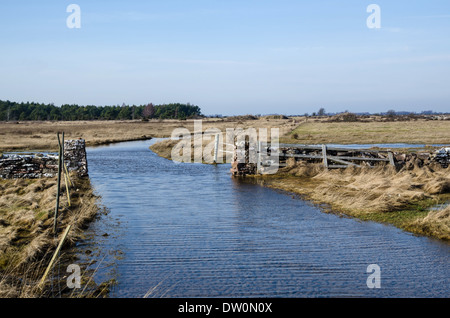 Springtime flooded dirt road at the swedish island Oland Stock Photo