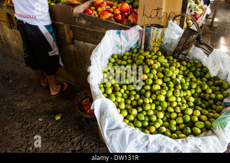 Umbu, typical fruit from northeastern Brazil, for sale at Feira do Malhado public market. Ilheus, Bahia, Brazil. Stock Photo