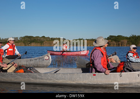 Everglades National Park, Florida - Visitors paddle canoes on a trip led by park ranger Tim Taylor (red canoe). Stock Photo