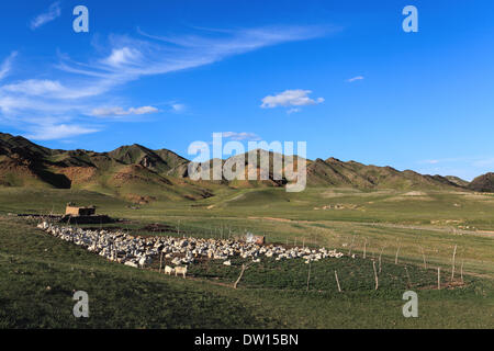 sheeps in sheepfold on hillside Stock Photo