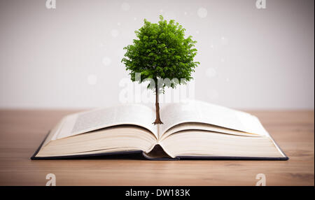 Tree growing from an open book Stock Photo