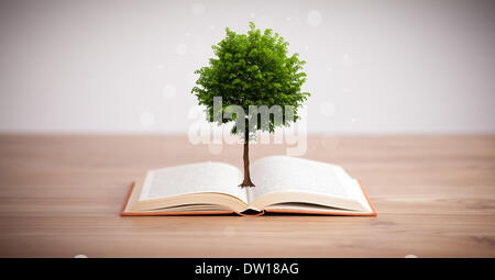 Tree growing from an open book Stock Photo