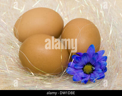 easter eggs with blue flower Stock Photo