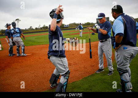 St. Petersburg, FL. USA; New York Yankees designated hitter Matt Carpenter  (24) hits a pop fly to Tampa Bay Rays center fielder Kevin Kiermaier (39  Stock Photo - Alamy