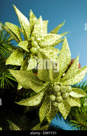 branch of Christmas tree with poinsettia Stock Photo